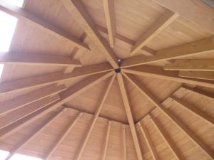 lapenes jumta konstrukcija