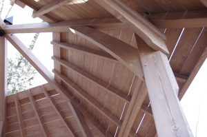 lapenes konstrukcija